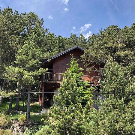 Chalet Vue Sous Cet Angles 외부 사진