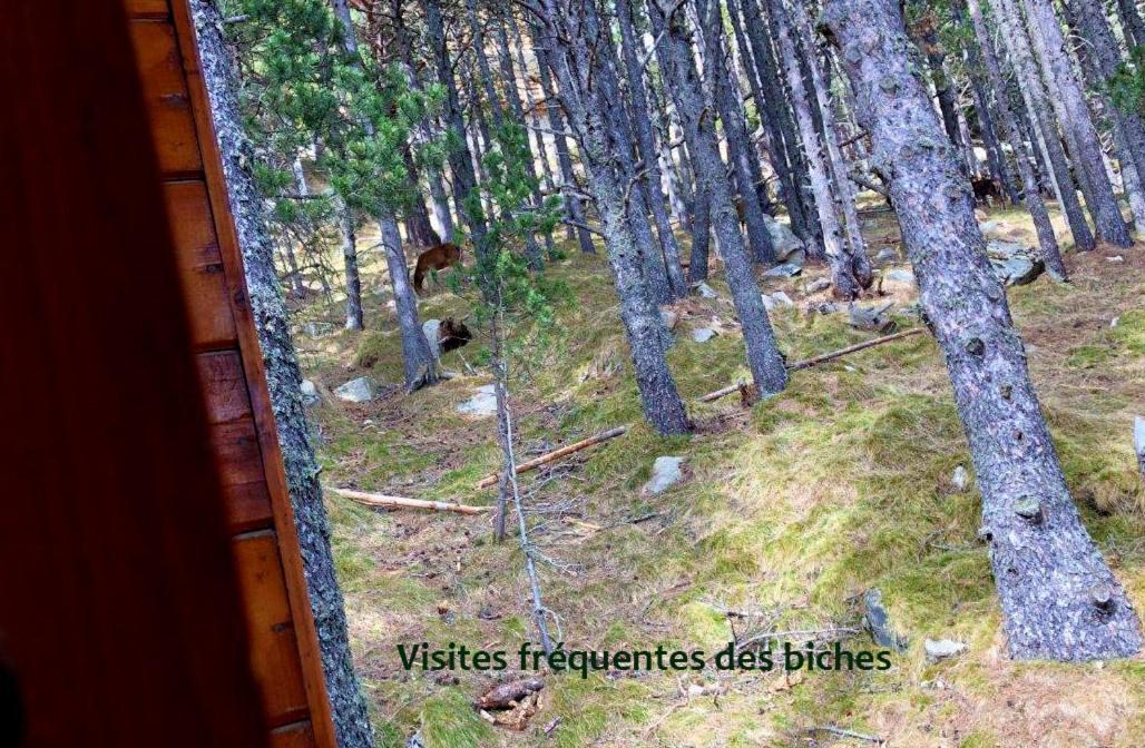 Chalet Vue Sous Cet Angles 외부 사진